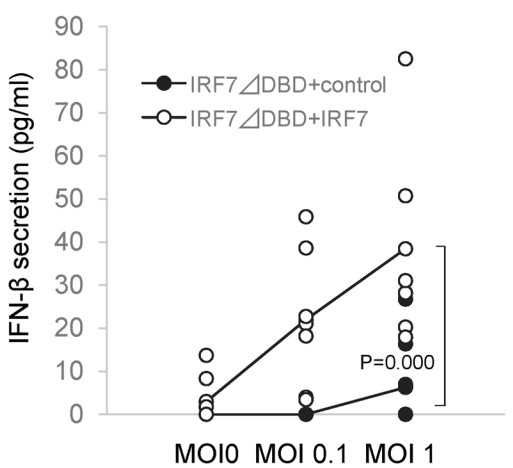 The impaired IFN-β secretion in IRF7-cells.jpg